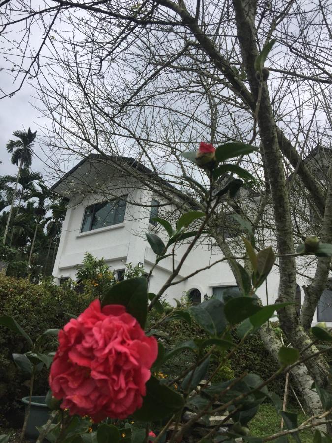 Wenlan Wuju Wusu B&B מראה חיצוני תמונה